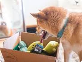 Toys: Chew Toys, Fetch Balls...