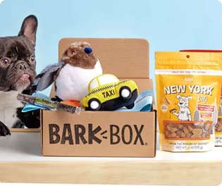 BARK-BOX with dog toys and treats
